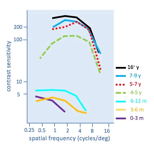 Graph showing development of spatial contrast sensitivity.